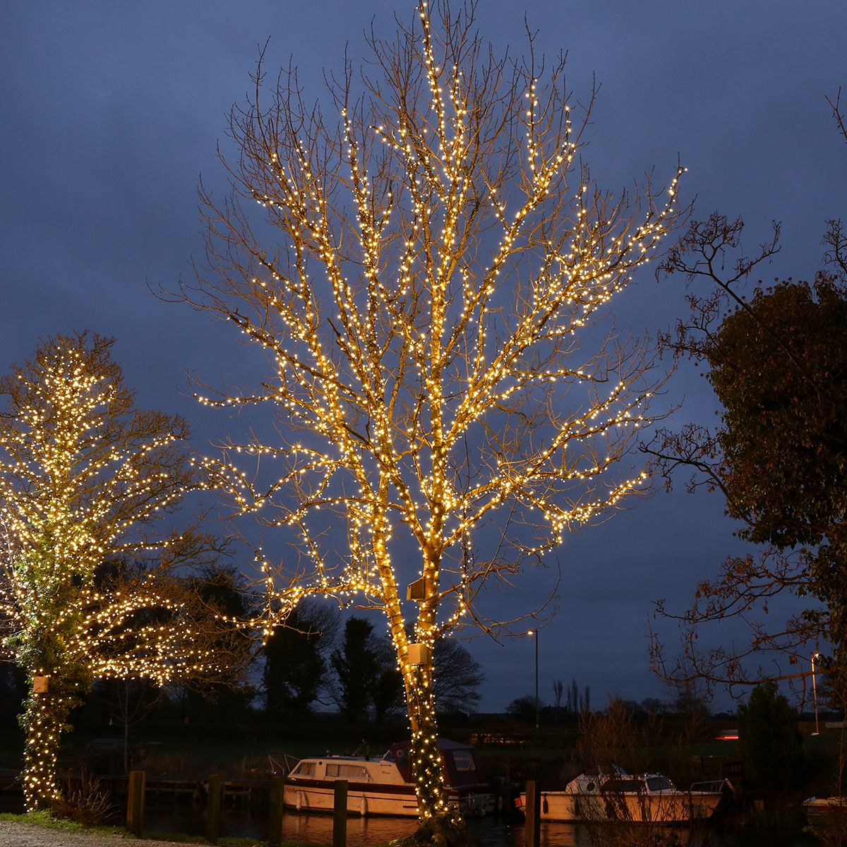 Outdoor LED string lights - Sugar & Rind
