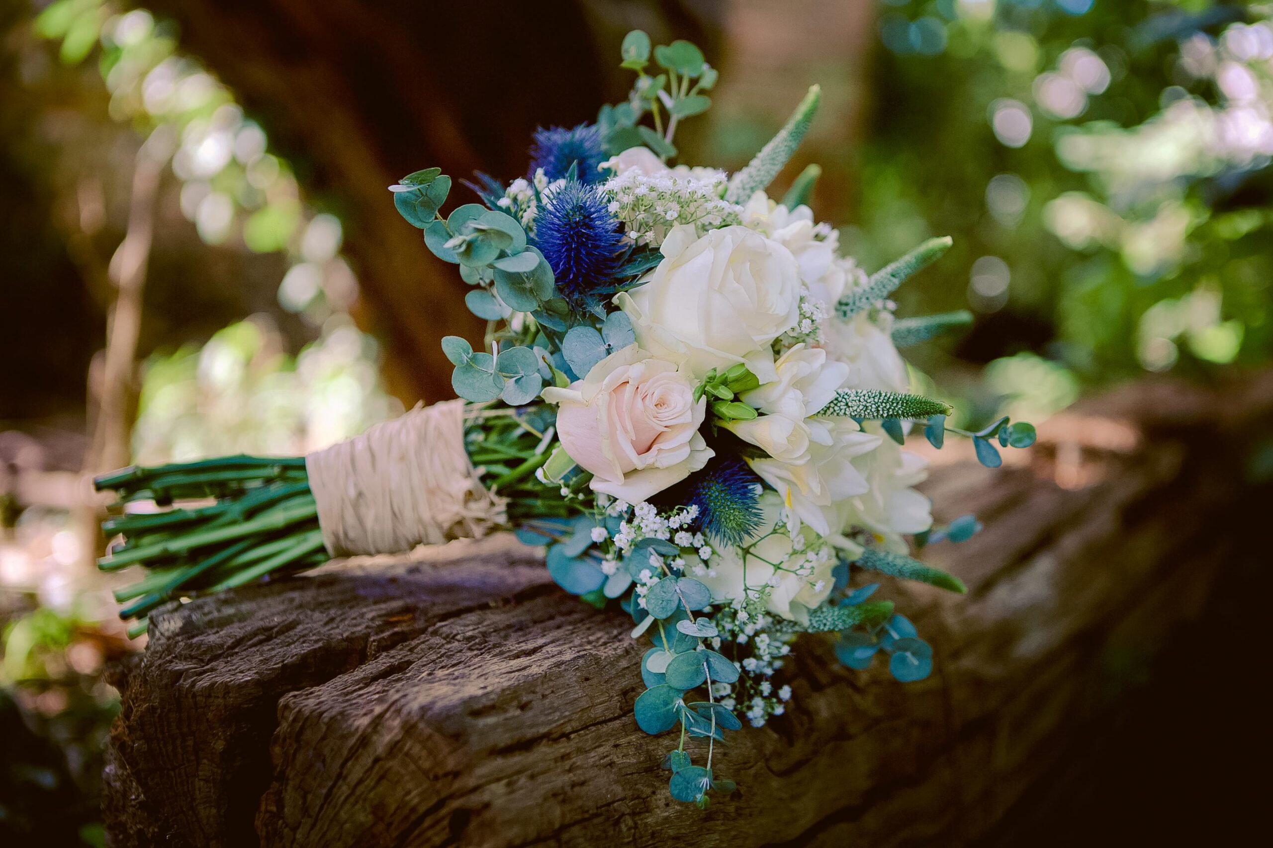 Sugar and Rind - We Bring the Party you throw it!