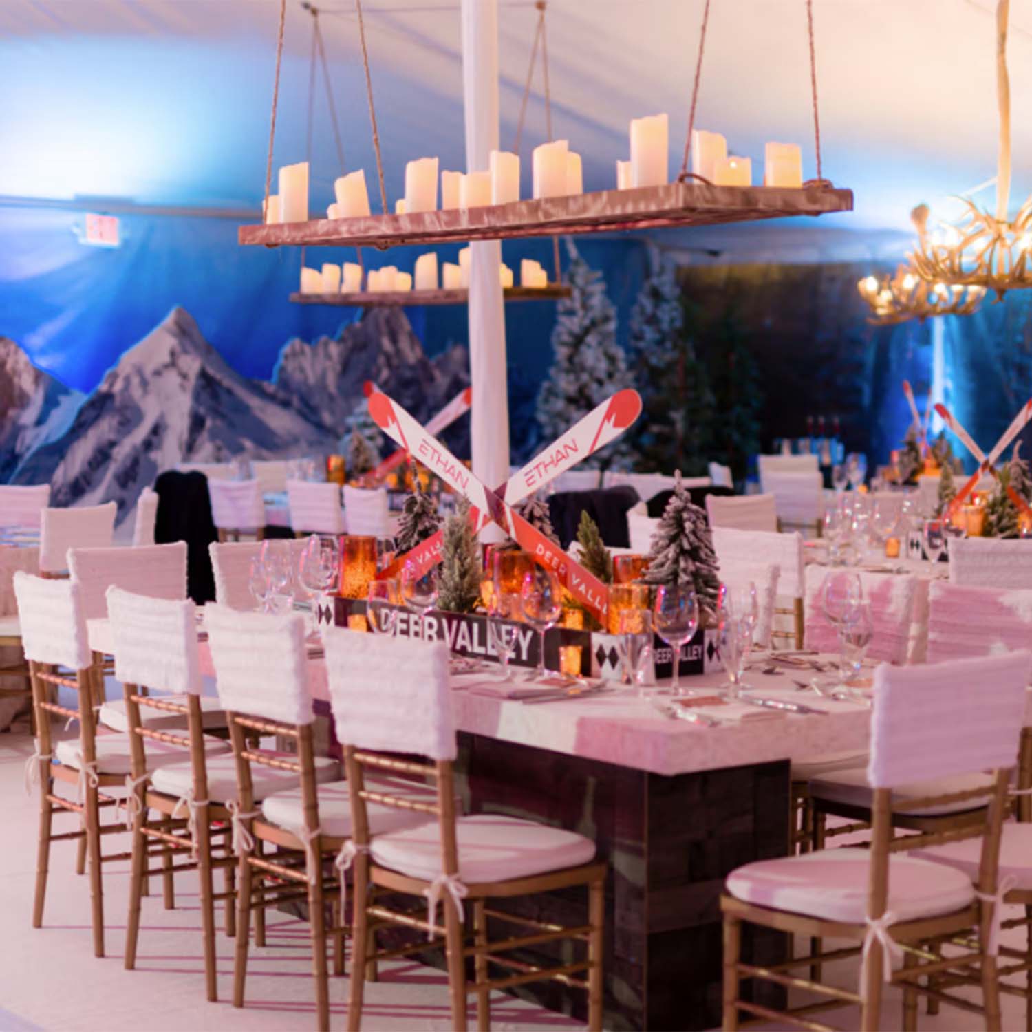 Sugar and Rind - We Bring the Party you throw it!