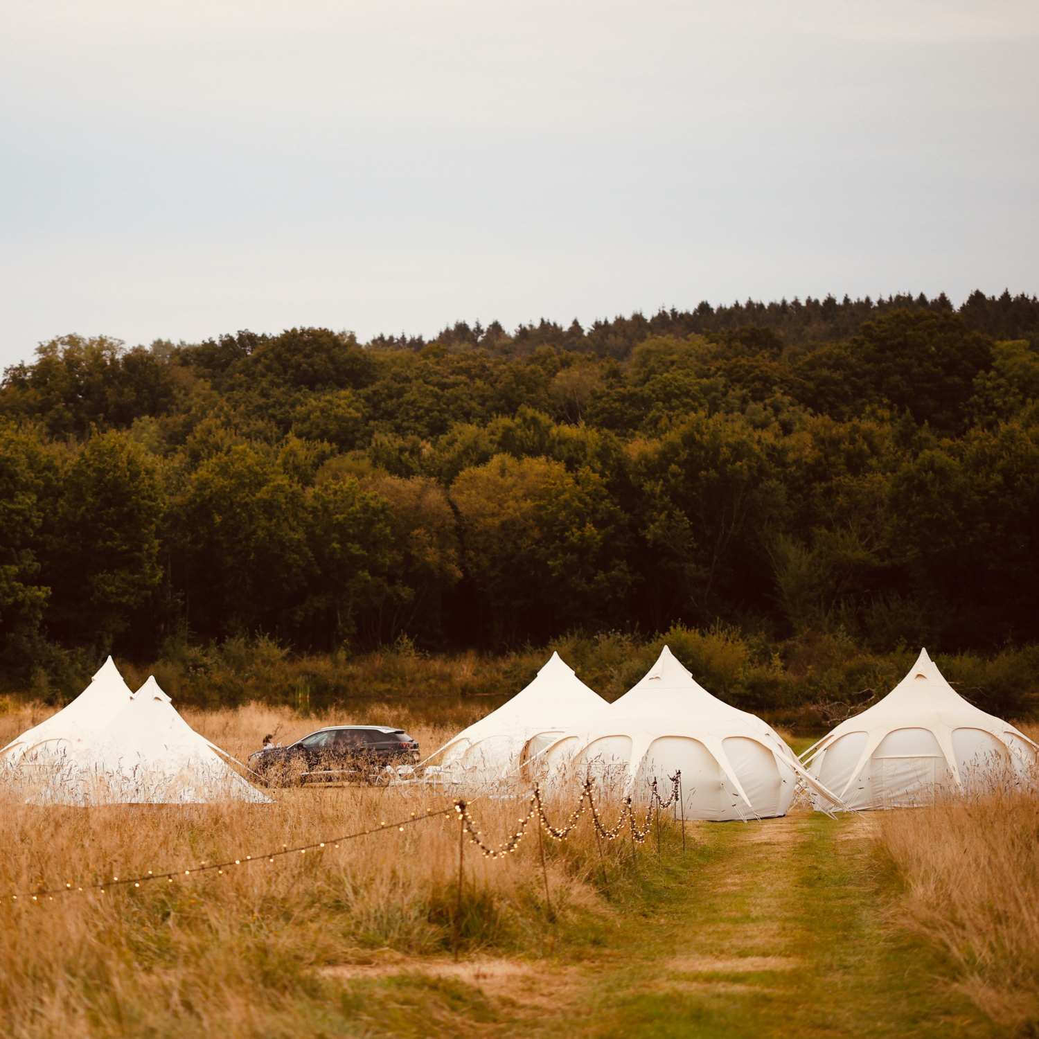 Sugar and Rind - We Bring the Party you throw it!