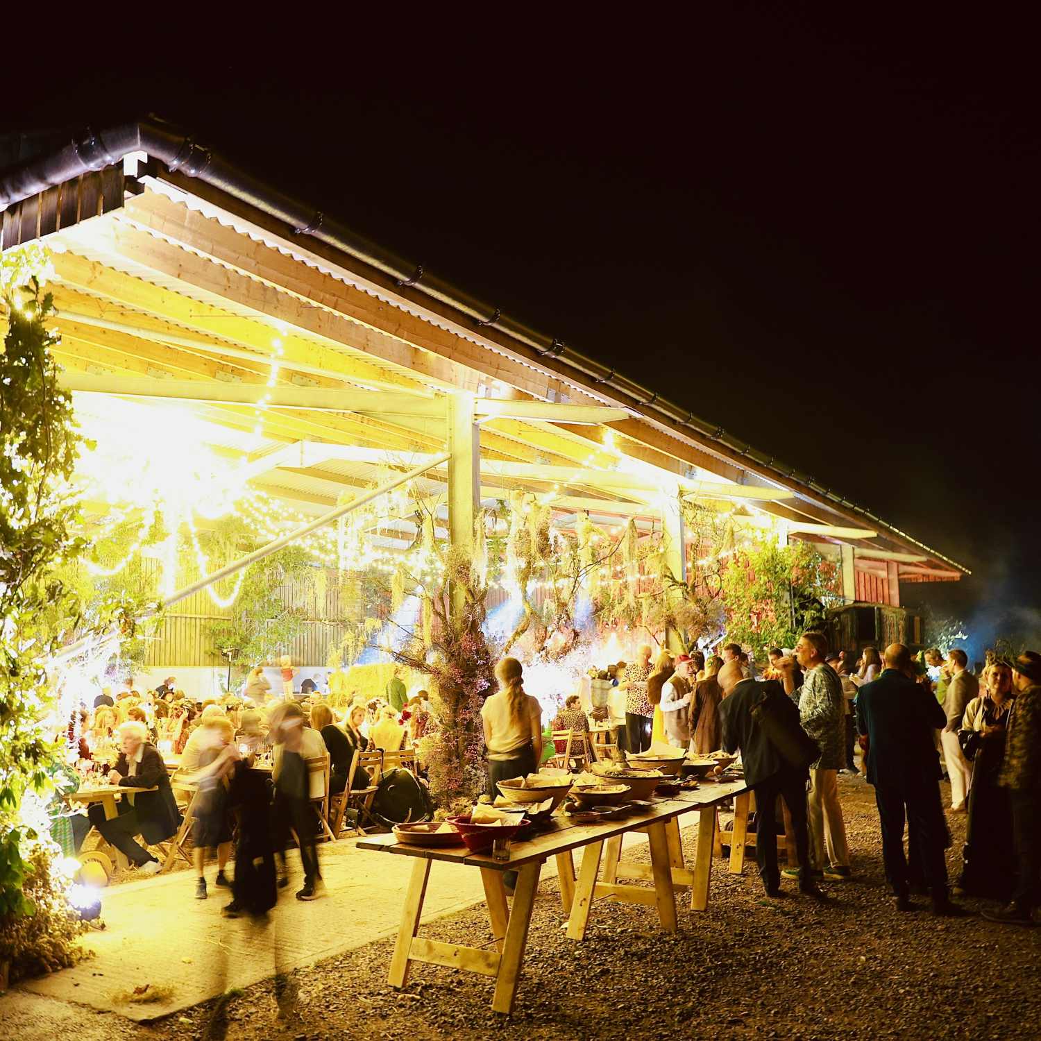 Sugar and Rind - We Bring the Party you throw it!