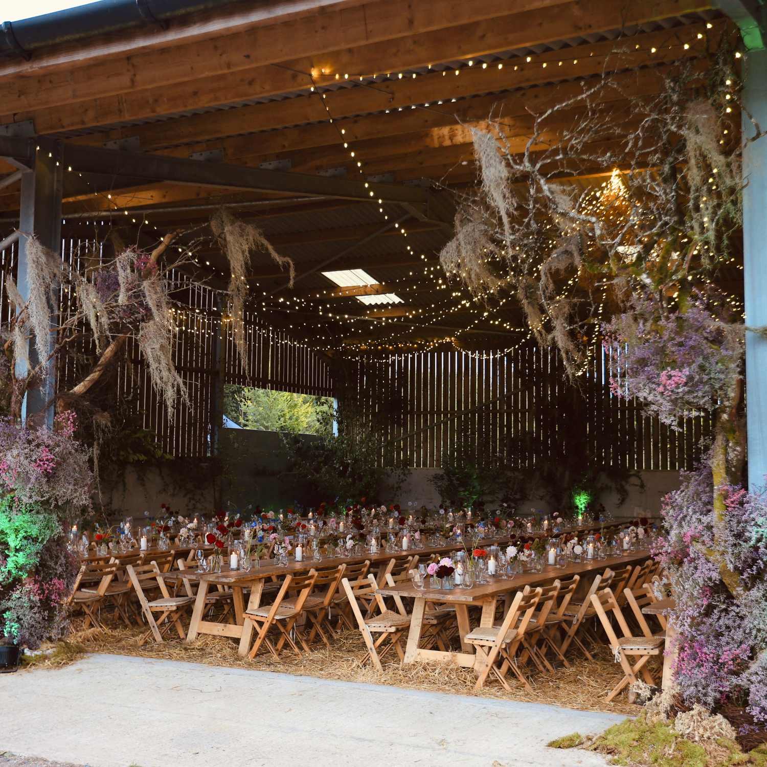 Sugar and Rind - We Bring the Party you throw it!