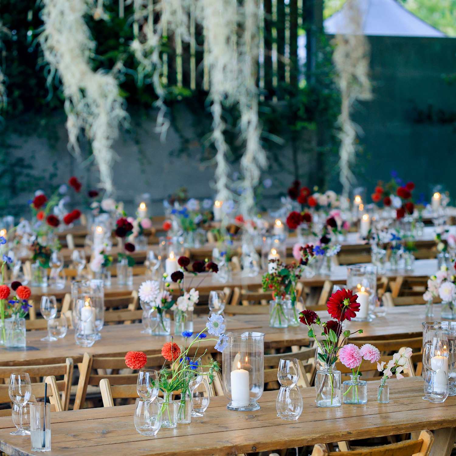 Sugar and Rind - We Bring the Party you throw it!