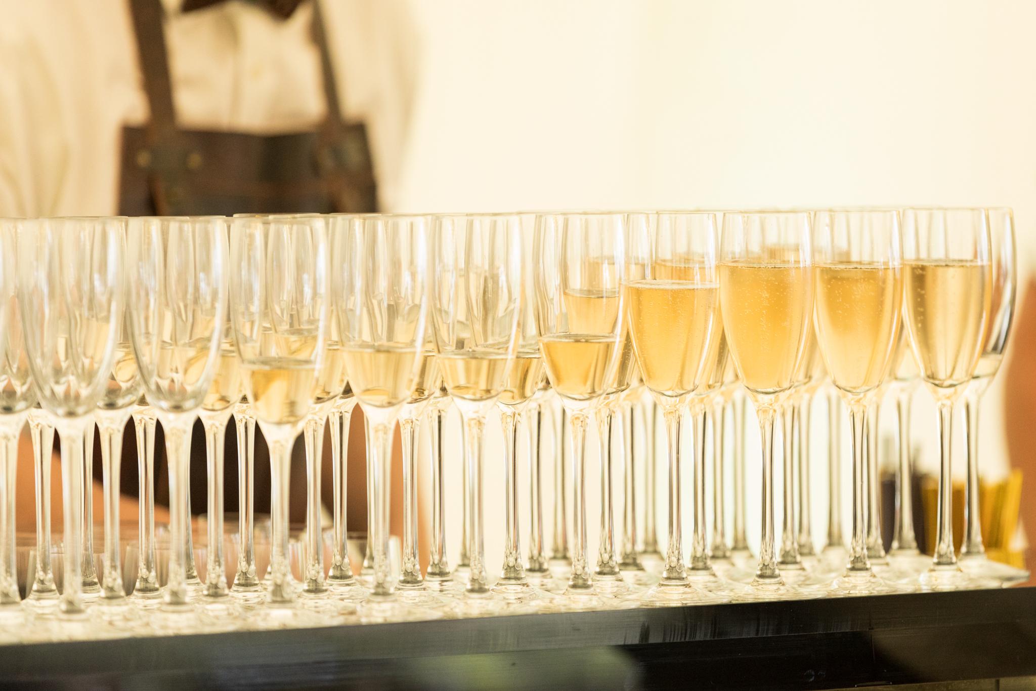 Sugar and Rind - We Bring the Party you throw it!